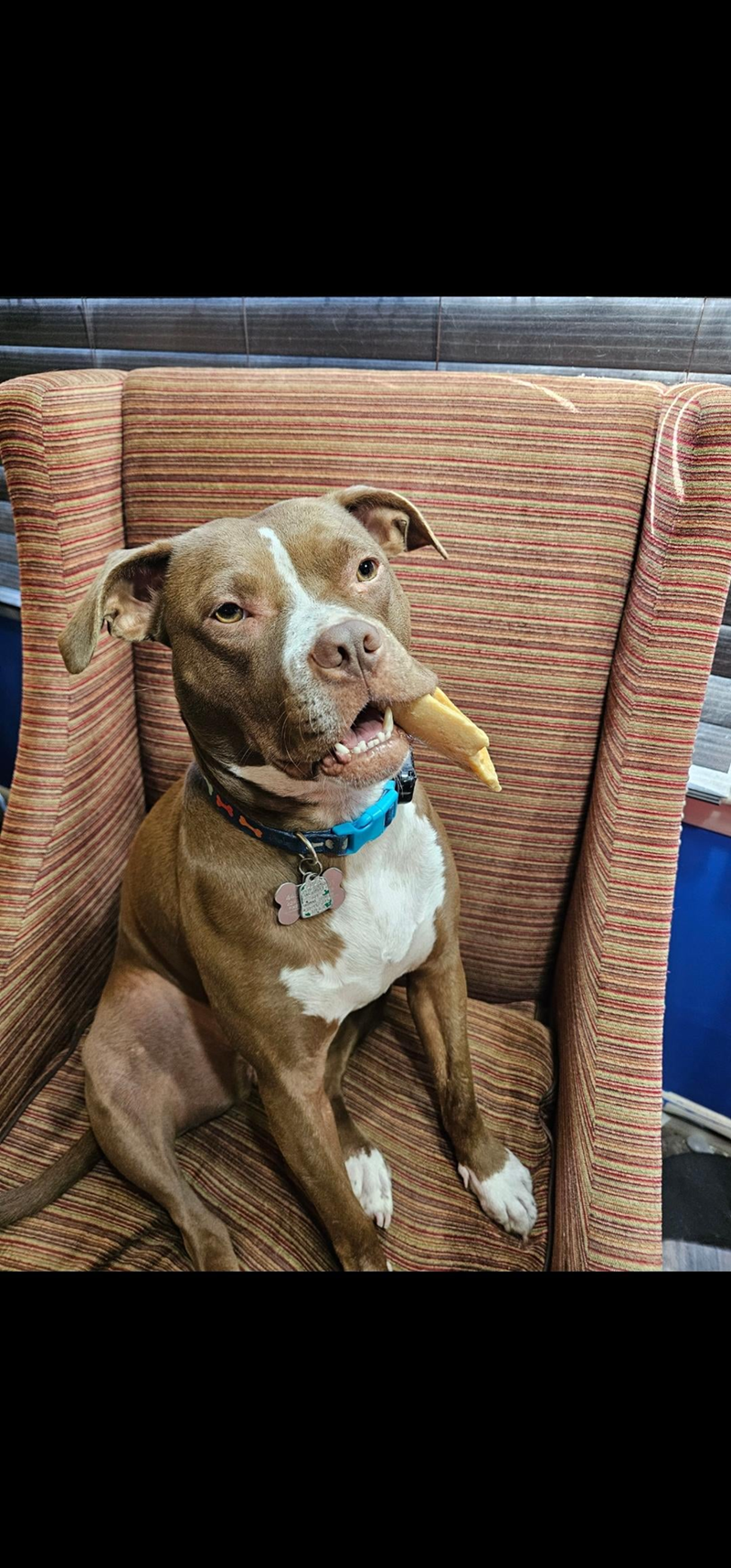 Cheezburger Image 10608937984