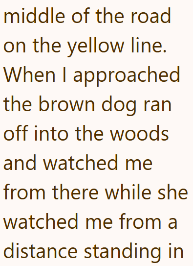 middle of the road on the yellow line. When I approached the brown dog ran off into the woods and watched me from there while she watched me from a distance standing in