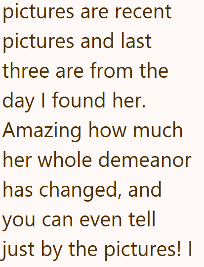 pictures are recent pictures and last three are from the day I found her. Amazing how much her whole demeanor has changed, and you can even tell just by the pictures! I