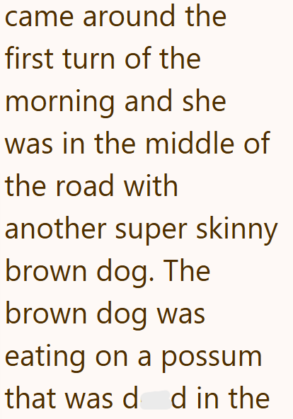 came around the first turn of the morning and she I was in the middle of the road with another super skinny brown dog. The brown dog was eating on a possum that was d d in the