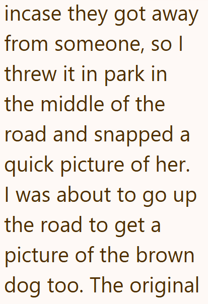 incase they got away from someone, so I threw it in park in the middle of the road and snapped a quick picture of her. I was about to go up the road to get a picture of the brown dog too. The original