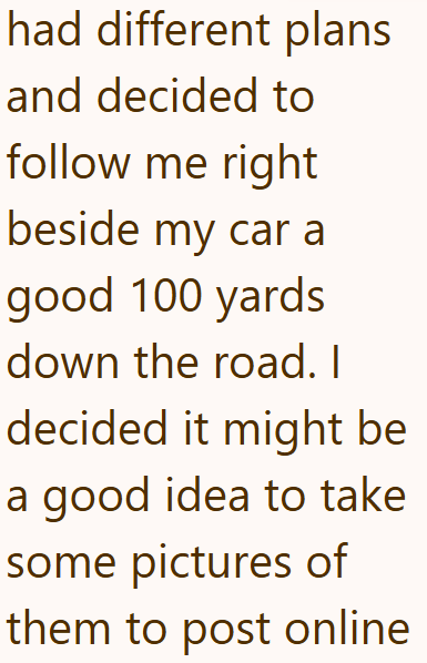 had different plans and decided to follow me right beside my car a good 100 yards down the road. I decided it might be a good idea to take some pictures of them to post online