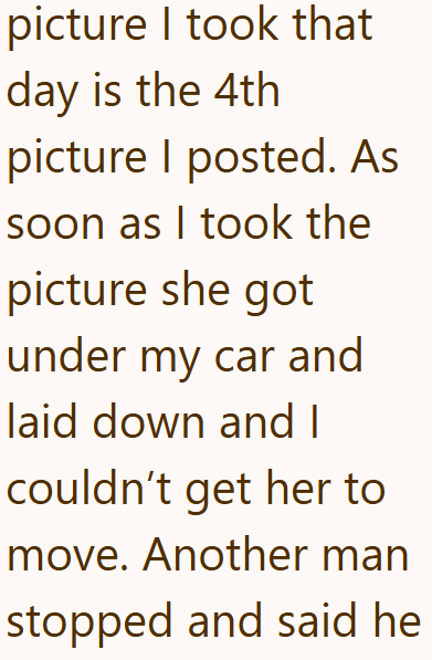 picture I took that day is the 4th picture I posted. As soon as I took the picture she got under my car and laid down and I couldn't get her to move. Another man stopped and said he