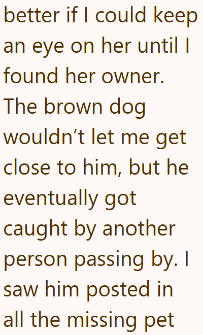 better if I could keep an eye on her until I found her owner. The brown dog wouldn't let me get close to him, but he eventually got caught by another person passing by. I saw him posted in all the missing pet
