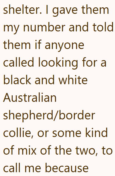 shelter. I gave them my number and told them if anyone called looking for a black and white Australian shepherd/border collie, or some kind of mix of the two, to call me because