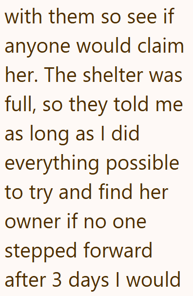 with them so see if anyone would claim her. The shelter was full, so they told me as long as I did everything possible to try and find her owner if no one stepped forward after 3 days I would