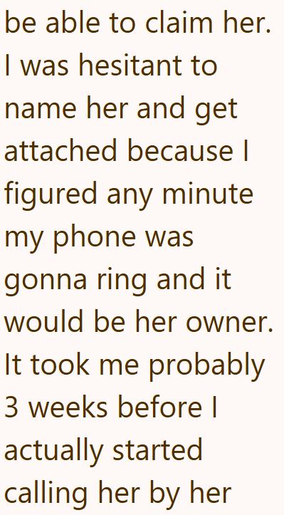be able to claim her. I was hesitant to name her and get attached because I figured any minute my phone was gonna ring and it would be her owner. It took me probably 3 weeks before I actually started calling her by her