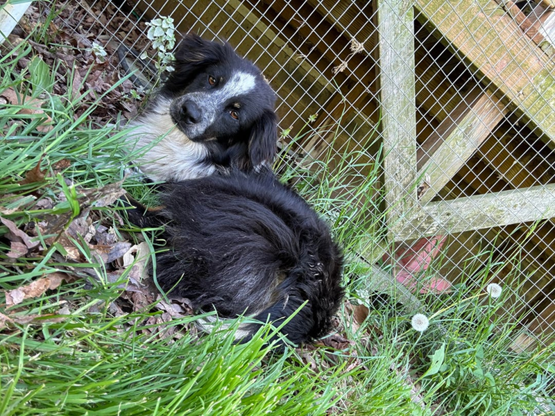 Cheezburger Image 10608957696