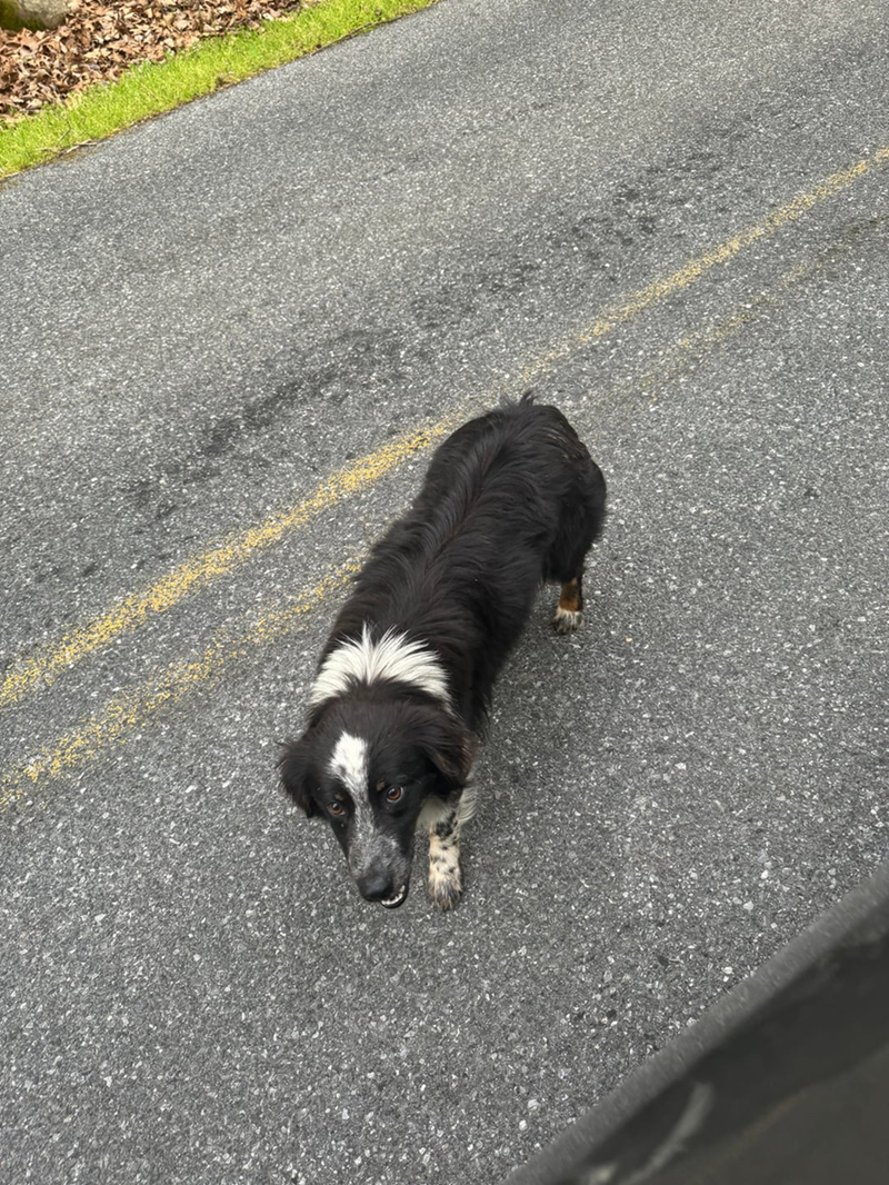 Cheezburger Image 10608957952