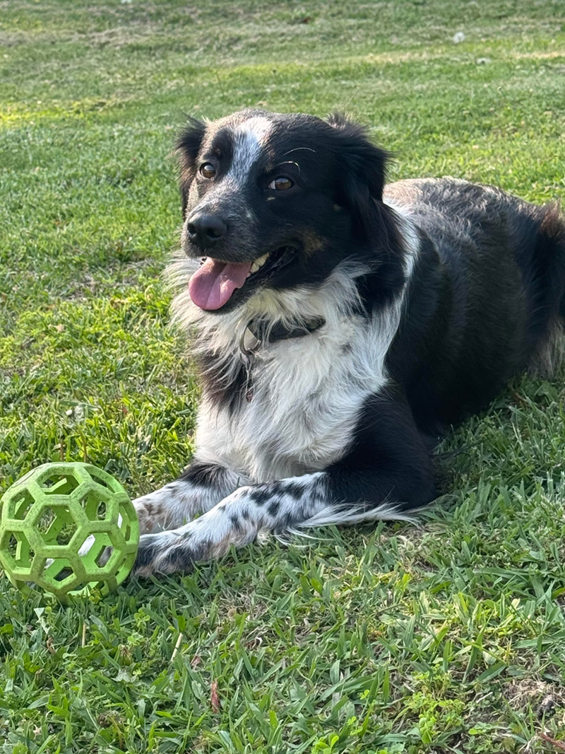 Cheezburger Image 10608958208