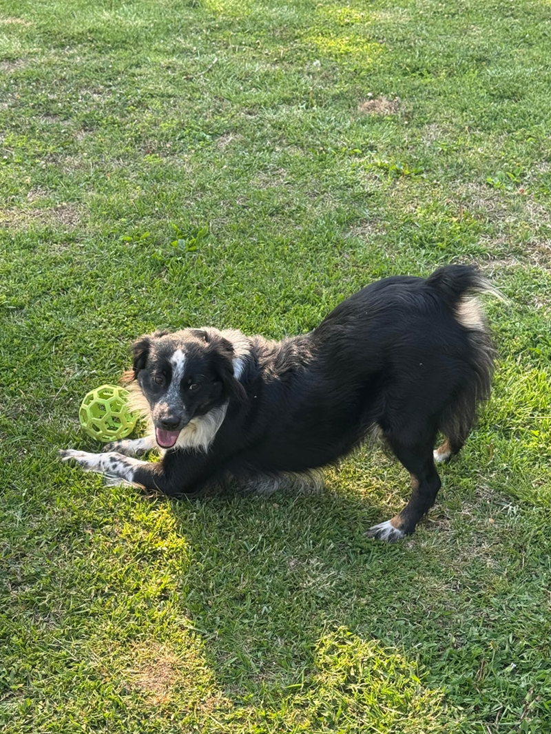 Cheezburger Image 10608958464