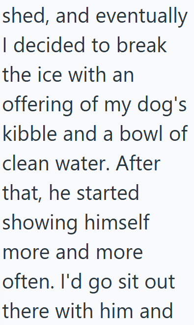 shed, and eventually I decided to break the ice with an offering of my dog's kibble and a bowl of clean water. After that, he started showing himself more and more often. I'd go sit out there with him and