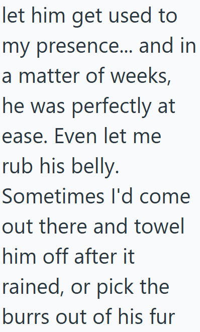 let him get used to my presence... and in a matter of weeks, he was perfectly at ease. Even let me rub his belly. Sometimes I'd come out there and towel him off after it rained, or pick the burrs out of his fur