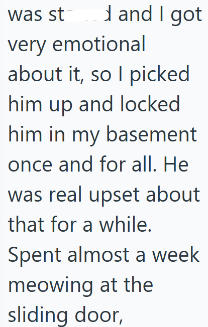 d was st and I got very emotional about it, so I picked him up and locked him in my basement once and for all. He was real upset about that for a while. Spent almost a week meowing at the sliding door,