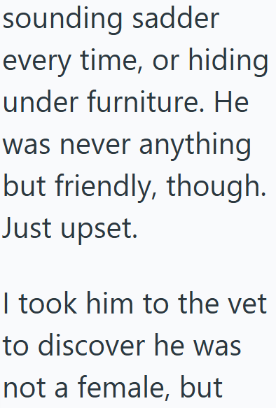 sounding sadder every time, or hiding under furniture. He was never anything but friendly, though. Just upset. I took him to the vet to discover he was not a female, but