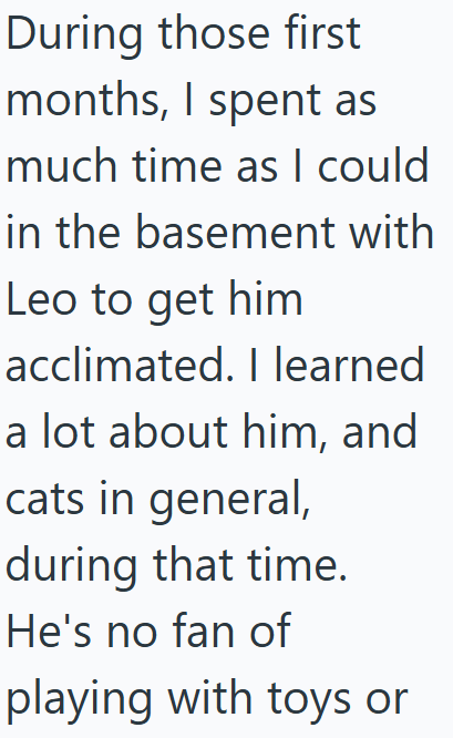 During those first months, I spent as much time as I could in the basement with Leo to get him acclimated. I learned a lot about him, and cats in general, during that time. He's no fan of playing with toys or