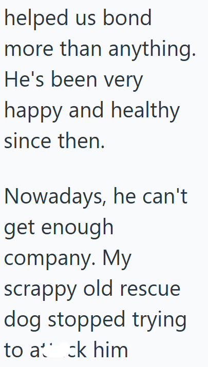 helped us bond more than anything. He's been very happy and healthy since then. Nowadays, he can't get enough company. My scrappy old rescue dog stopped trying to ack him