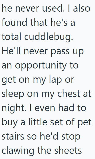he never used. I also found that he's a total cuddlebug. He'll never pass up an opportunity to get on my lap or sleep on my chest at night. I even had to buy a little set of pet stairs so he'd stop clawing the sheets