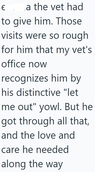 € a the vet had to give him. Those visits were so rough for him that my vet's office now recognizes him by his distinctive "let me out" yowl. But he got through all that, and the love and care he needed along the way