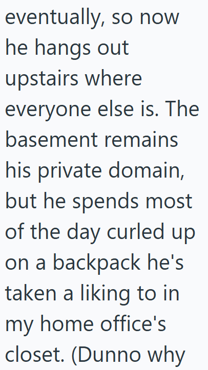 eventually, so now he hangs out upstairs where everyone else is. The basement remains his private domain, but he spends most of the day curled up on a backpack he's taken a liking to in my home office's closet. (Dunno why