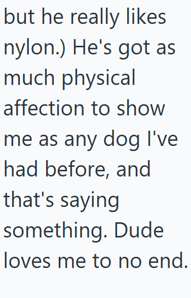 but he really likes nylon.) He's got as much physical affection to show me as any dog I've had before, and that's saying something. Dude loves me to no end.