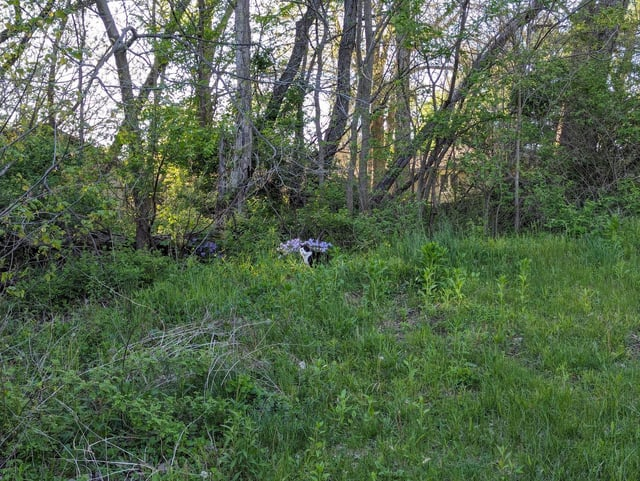 Cheezburger Image 10608977152