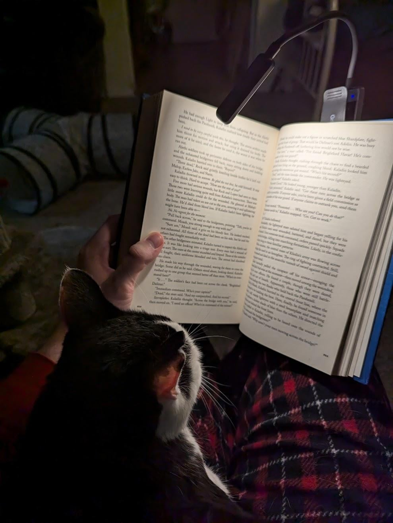 He had gh Lige skep pushed back the Phed, K fee Iwed in every cgl wi him thirst more of ed, and the f ran Alethi soldiers ook op per and the exhumed bridges wounds. Kaladin hurried over to "Rep "There dead Rock mid grind king beds of Malop, Earless Jaks, and Nam Kaladin frowned in sorged the eary to think. Hard to sept "How the of elev Five more had serious wounds, but Rock Those two were learning quite well fes Kaladin's linle more Kaladin could do for the wind He body. The man had taken an ase