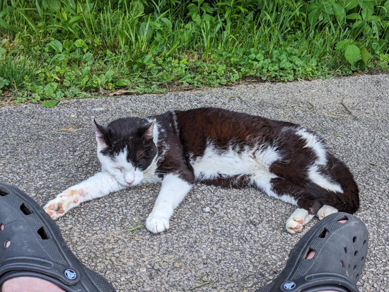 Cheezburger Image 10608977920