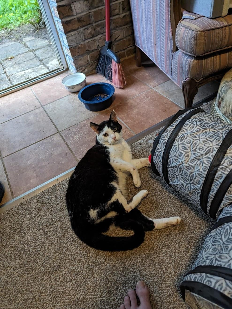 Cheezburger Image 10608978944