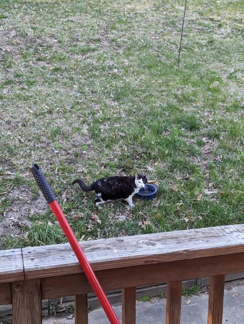 Cheezburger Image 10608979200