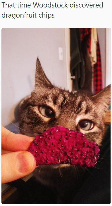That time Woodstock discovered dragonfruit chips