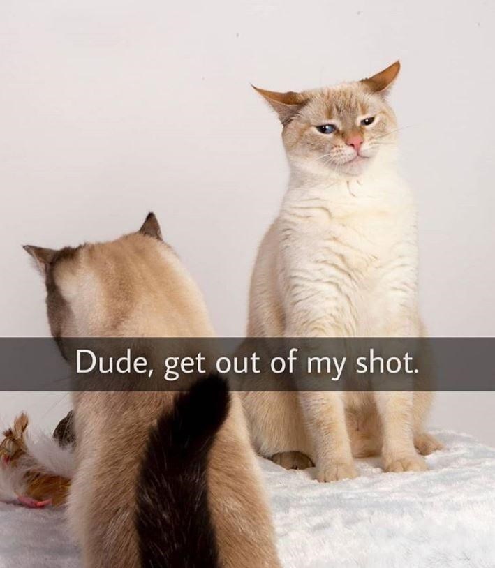 Dude, get out of my shot.