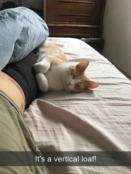 It's a vertical loaf!