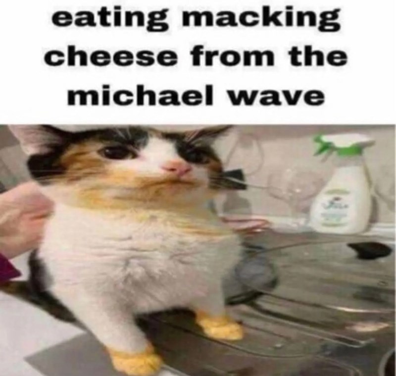 eating macking cheese from the michael wave
