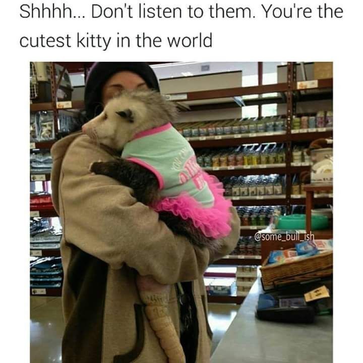 Shhhh... Don't listen to them. You're the cutest kitty in the world @some_bull ish 13