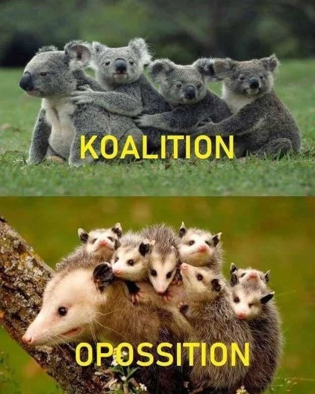 KOALITION OPOSSITION