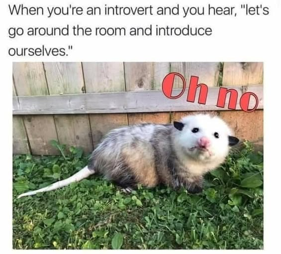 When you're an introvert and you hear, "let's go around the room and introduce ourselves." Oh no