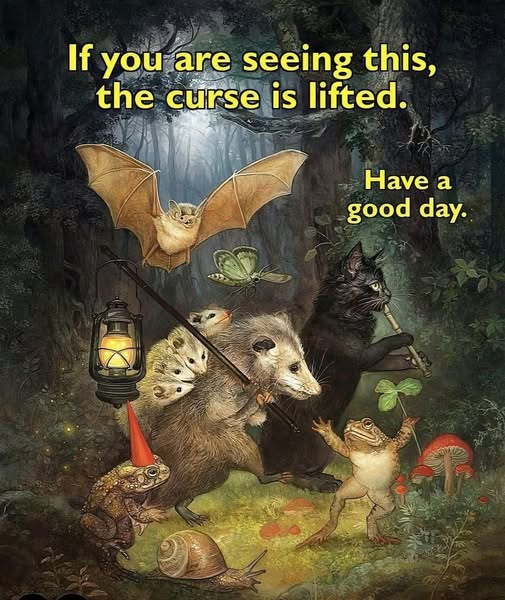 If you are seeing this, the curse is lifted. Have a good day.