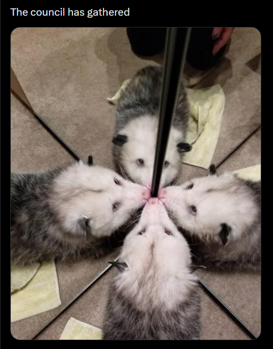 The council has gathered