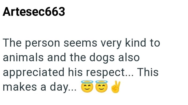 Artesec663 The person seems very kind to animals and the dogs also appreciated his respect... This makes a day...