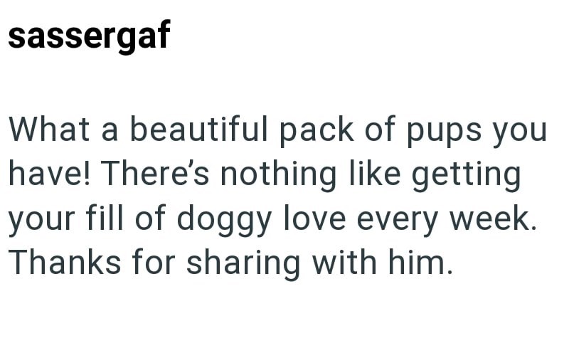 sassergaf What a beautiful pack of pups you have! There's nothing like getting your fill of doggy love every week. Thanks for sharing with him.