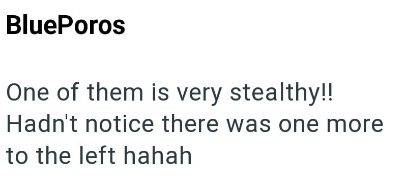 BluePoros One of them is very stealthy!! Hadn't notice there was one more to the left hahah