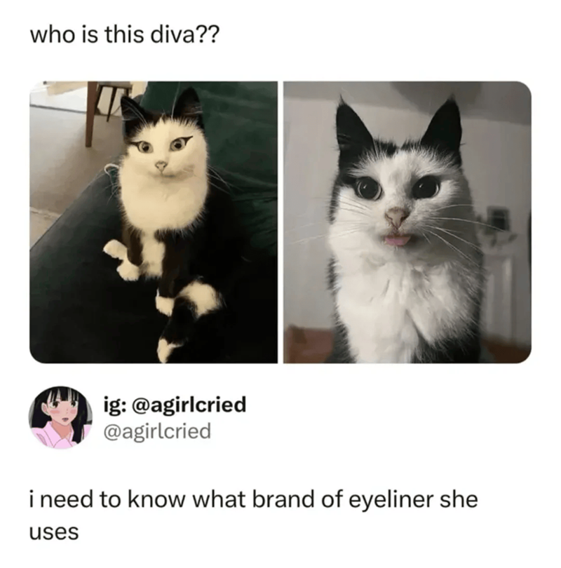 who is this diva?? ig: @agirlcried @agirlcried i need to know what brand of eyeliner she uses
