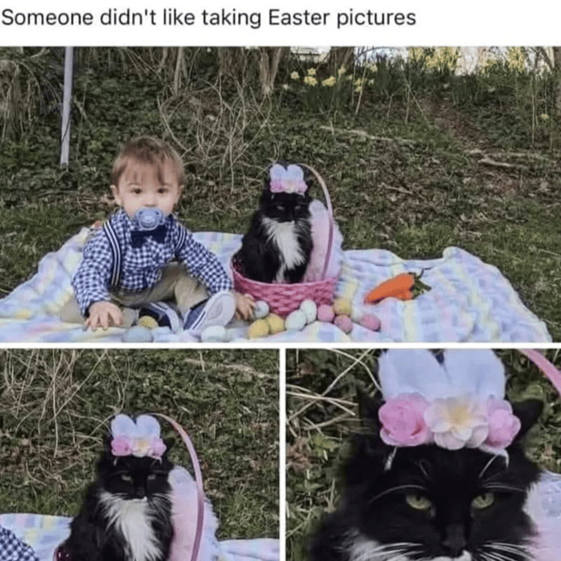 Someone didn't like taking Easter pictures