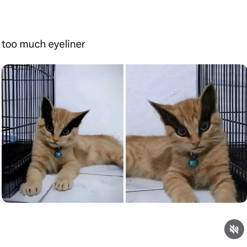 too much eyeliner
