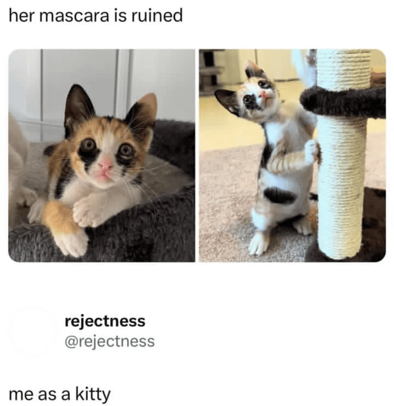 her mascara is ruined rejectness @rejectness me as a kitty