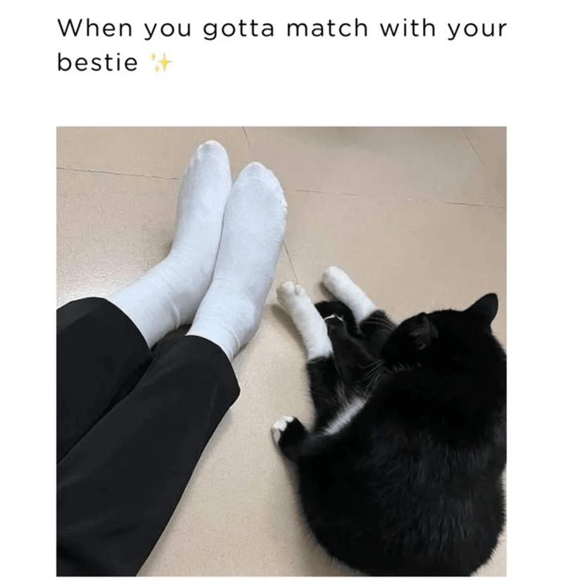 When you gotta match with your bestie