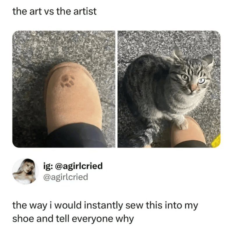the art vs the artist ig: @agirlcried @agirlcried the way i would instantly sew this into my shoe and tell everyone why