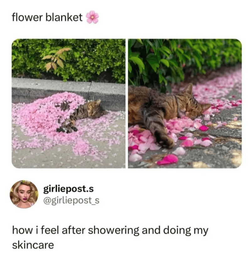 flower blanket girliepost.s @girliepost_s how i feel after showering and doing my skincare