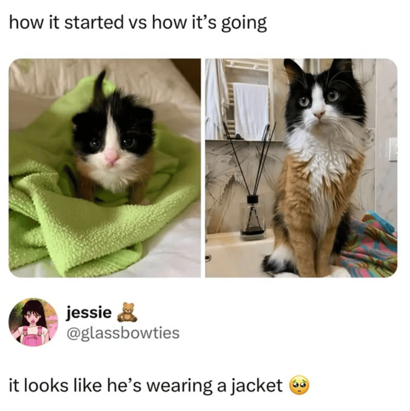how it started vs how it's going jessie ✗ @glassbowties it looks like he's wearing a jacket